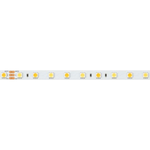 Светодиодная лента Arlight 14,4W/m 60LED/m 5060SMD холодный/теплый белый 5M RT-B60-10mm 24V White-MIX 025213(1)