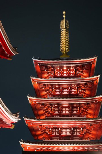 Светодиодная влагозащищенная лента Apeyron 4,8W/m 60LED/m 3528SMD красный 5M 04BL