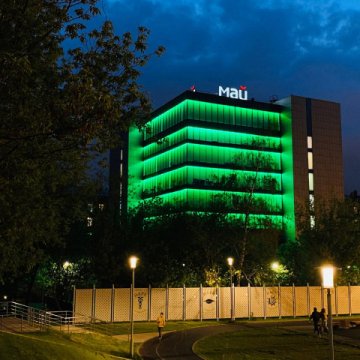 Светодиодная влагозащищенная лента Apeyron 4,8W/m 60LED/m 3528SMD зеленый 5M 07BL