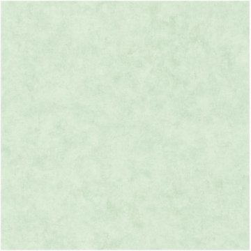 Обои Caselio Beton 101487400