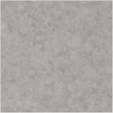 Обои Caselio Beton 101489550