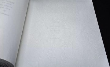 Обои Rasch Wallton 103762