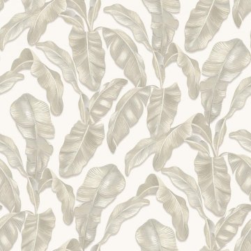 Обои Parato (Cristiana Masi) Hashtag 11004