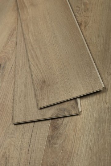 Дуб Кельвин/Oak Calvin