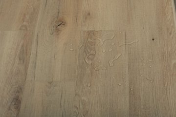 Дуб Кельвин/Oak Calvin