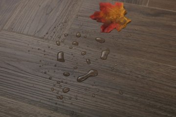 Орех Гауди/Walnut Gaudi