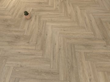 Дуб Бове/Oak Bouvet