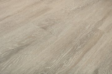 Дуб Христофор/Oak Christofor