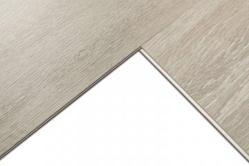 Дуб Христофор/Oak Christofor