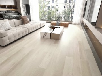 Дуб Виллем/Oak Willem