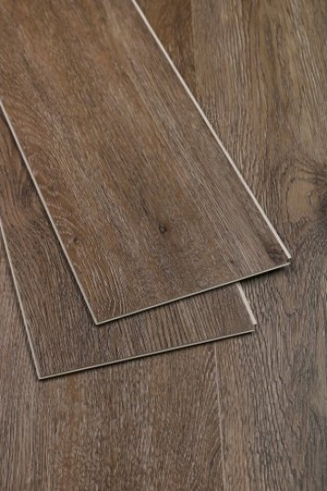 Дуб Америго/Oak Amerigo