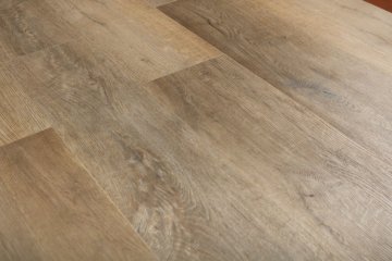 Дуб Васко/Oak Vasko