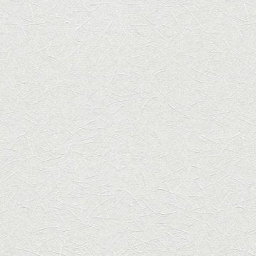 Обои Rasch Wallton 166118