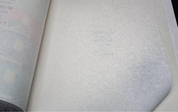 Обои Rasch Wallton 173109