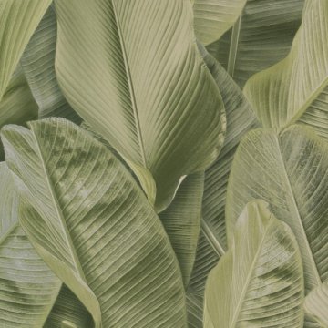 Обои Limonta Lymphae 17803L