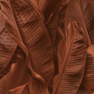 Обои Limonta Lymphae 17810L