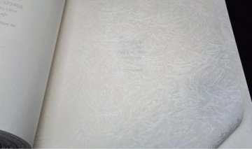 Обои Rasch Wallton 178128