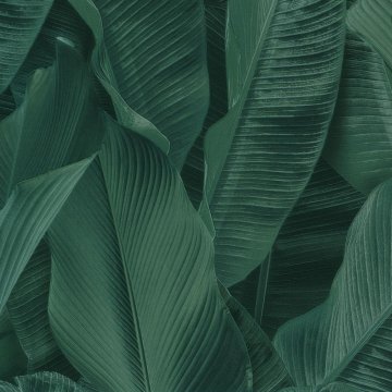 Обои Limonta Lymphae 17813L