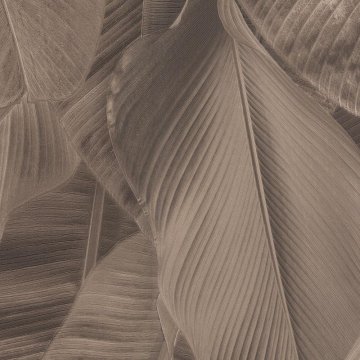 Обои Limonta Lymphae 17817L