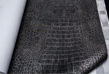 Обои BN Curious BN 17950