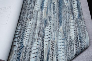 Обои BN Curious BN 17967