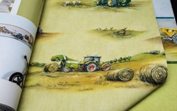 Обои Rasch Kids Teens 2 293203