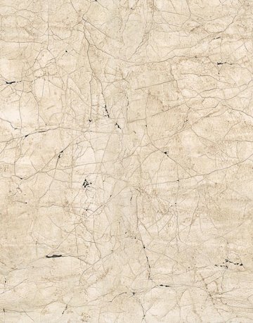 Обои Marburg New Spirit 32756