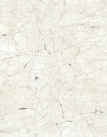 Обои Marburg New Spirit 32757