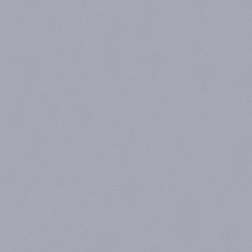 Обои AS Creation Dream Again 36504-2