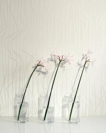 Обои AS Creation Emotion Graphic 36878-3