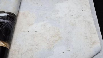 Обои AS Creation History of Art 37649-2