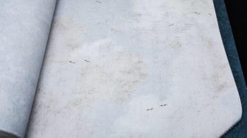 Обои AS Creation History of Art 37649-3