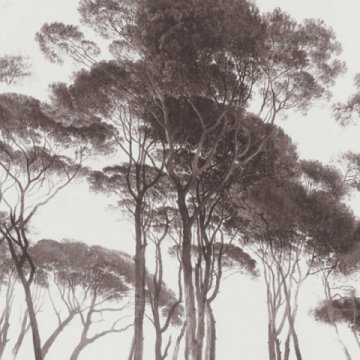 Обои AS Creation History of Art 37651-1