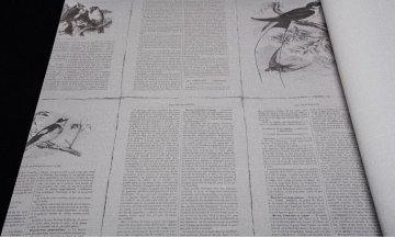 Обои Rasch Lazy Sunday 2 401622