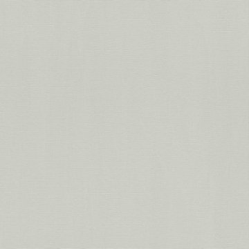 Обои Rasch Hyde Park 411874