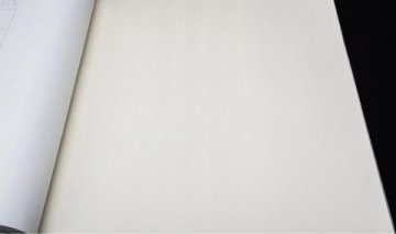 Обои Rasch Hyde Park 411911