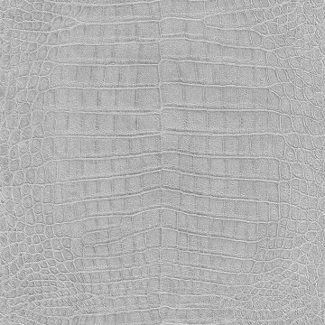 Обои Rasch Mandalay 474145