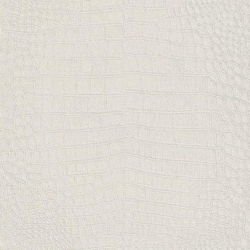 Обои Rasch Mandalay 474169