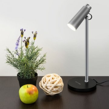 Настольная лампа Elektrostandard Joel серебро/хром TL70190 a048901