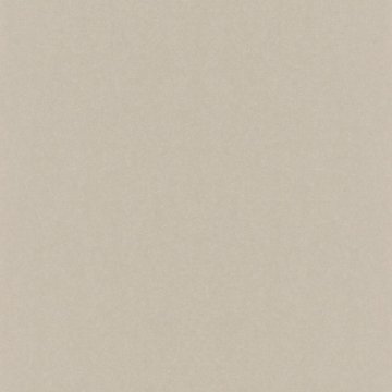 Обои Rasch Kerala 501155