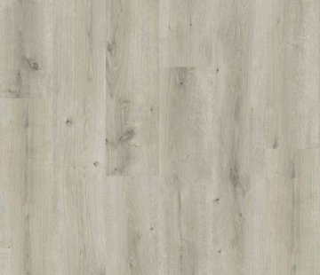 Ламинат Haro Daily Edition 541339 Дуб Бреда светло-серый