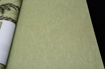 Обои Andrea Rossi Razzoli 54189-6