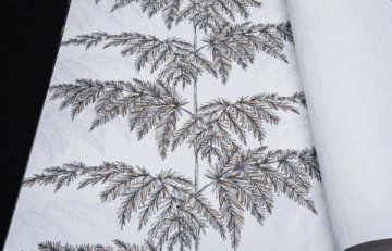 Обои Andrea Rossi Razzoli 54190-2