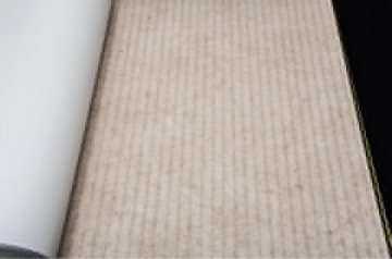 Обои Andrea Rossi Arlequin 54296-4