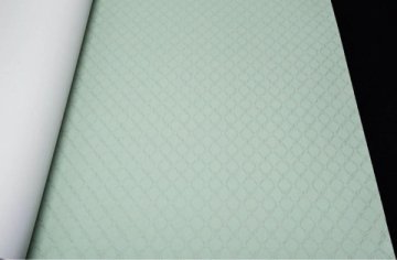 Обои Andrea Rossi Gallinara 54315-6