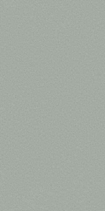 Обои Rasch Passepartout 607260