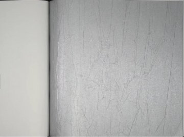 Обои Marburg Crush Motion 63416