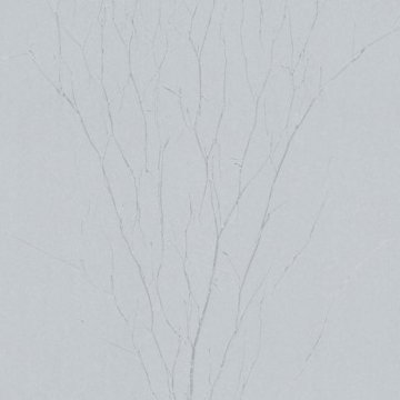 Обои Marburg Crush Motion 63425