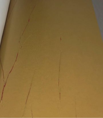 Обои Marburg Crush Motion 63427