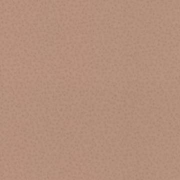 Обои Rasch Sophia 710793